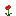 Poppy.png