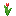 Red Tulip.png
