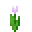 Pink Tulip.png
