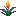 Torchflower.png