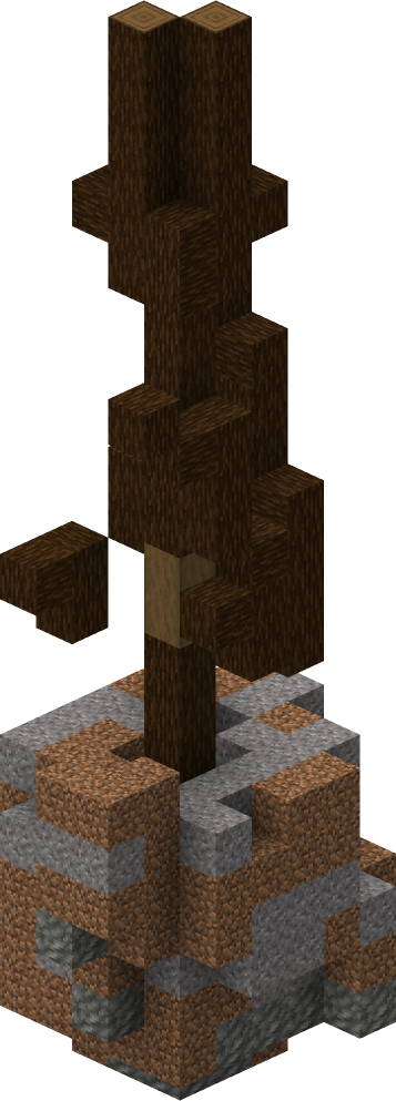 File:Prehistoric Spruce Tree 2.png