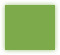 Basic Green (wallpaper).png