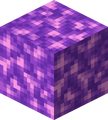 Thumbnail for version as of 16:31, 24 July 2026