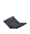 Thumbnail for version as of 03:37, 26 December 2024