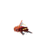 Pokémon Model (Magikarp, model).png
