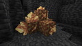 Thumbnail for version as of 14:31, 25 July 2026