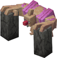 Thumbnail for version as of 22:55, 24 November 2025