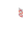 Cleanse Tag (model).png