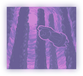 Thumbnail for version as of 13:27, 3 December 2025