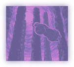 The End (wallpaper, alt).png