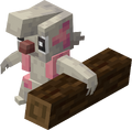 Thumbnail for version as of 03:15, 23 November 2025