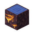 Thumbnail for version as of 12:58, 16 November 2025
