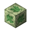 Thumbnail for version as of 18:47, 26 December 2024