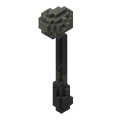 Thumbnail for version as of 16:34, 12 May 2024