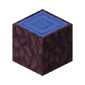 Thumbnail for version as of 12:57, 16 November 2025