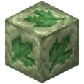Thumbnail for version as of 22:46, 17 December 2025