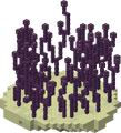 Thumbnail for version as of 14:40, 18 September 2026