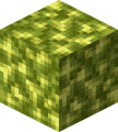 Thumbnail for version as of 16:28, 24 July 2026