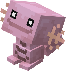 Wooper Heart Male Shiny (model).png