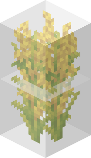 File:Double block image dimensions.png