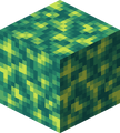 Thumbnail for version as of 16:29, 24 July 2026