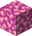 Thumbnail for version as of 16:31, 24 July 2026