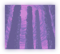 Thumbnail for version as of 13:26, 3 December 2025