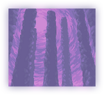 The End (wallpaper).png